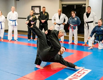martial arts tutoring and courses